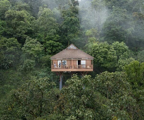 the-tamara-coorg